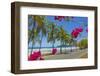 Beautiful Palm Fringed White Sand Playa Carrillo-Rob Francis-Framed Photographic Print