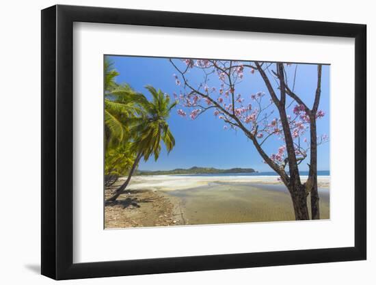 Beautiful Palm Fringed White Sand Playa Carrillo-Rob Francis-Framed Photographic Print