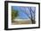 Beautiful Palm Fringed White Sand Playa Carrillo-Rob Francis-Framed Photographic Print