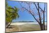 Beautiful Palm Fringed White Sand Playa Carrillo-Rob Francis-Mounted Photographic Print