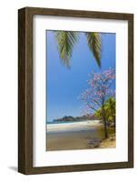 Beautiful Palm Fringed White Sand Playa Carrillo-Rob Francis-Framed Photographic Print