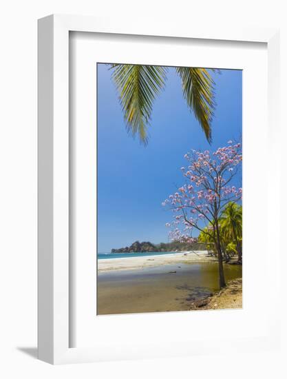 Beautiful Palm Fringed White Sand Playa Carrillo-Rob Francis-Framed Photographic Print