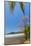 Beautiful Palm Fringed White Sand Playa Carrillo-Rob Francis-Mounted Photographic Print