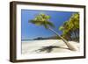 Beautiful Palm Fringed-Rob Francis-Framed Photographic Print