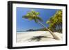 Beautiful Palm Fringed-Rob Francis-Framed Photographic Print