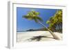 Beautiful Palm Fringed-Rob Francis-Framed Photographic Print