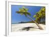 Beautiful Palm Fringed-Rob Francis-Framed Photographic Print