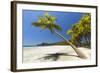 Beautiful Palm Fringed-Rob Francis-Framed Photographic Print