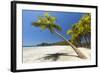 Beautiful Palm Fringed-Rob Francis-Framed Photographic Print