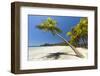 Beautiful Palm Fringed-Rob Francis-Framed Photographic Print