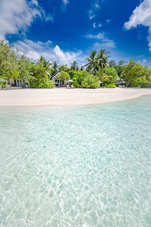 Beautiful palm tree on tropical island beach on background blue sky ...