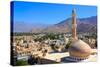 Beautiful Panorama of Nizwa, Oman-Pearl-diver-Stretched Canvas