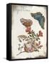 Beautiful Papillons Ornate Exclusive-null-Framed Stretched Canvas