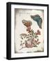 Beautiful Papillons Ornate Exclusive-null-Framed Giclee Print