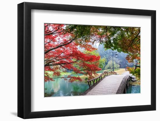 Beautiful Park in Autumn-Zhao jian kang-Framed Photographic Print