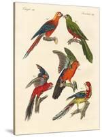 Beautiful Parrots-null-Stretched Canvas