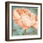 Beautiful Peonies Square II-Patricia Pinto-Framed Art Print