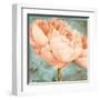 Beautiful Peonies Square II-Patricia Pinto-Framed Art Print