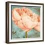 Beautiful Peonies Square II-Patricia Pinto-Framed Art Print