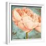 Beautiful Peonies Square II-Patricia Pinto-Framed Art Print