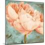 Beautiful Peonies Square II-Patricia Pinto-Mounted Art Print