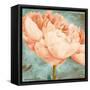 Beautiful Peonies Square II-Patricia Pinto-Framed Stretched Canvas