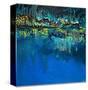 Stretched Canvas