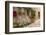 Beautiful Picturesque Nook of Rural Tuscany-Petr Jilek-Framed Photographic Print