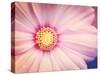 Beautiful Pink Flower-melking-Stretched Canvas
