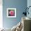 Beautiful Pink Lotus Flower-null-Framed Art Print displayed on a wall