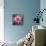 Beautiful Pink Lotus Flower-null-Mounted Art Print displayed on a wall