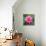 Beautiful Pink Lotus Flower-null-Stretched Canvas displayed on a wall