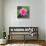 Beautiful Pink Lotus Flower-null-Stretched Canvas displayed on a wall