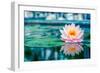 Beautiful Pink Lotus, Water Plant with Reflection in a Pond-Vasin Lee-Framed Photographic Print