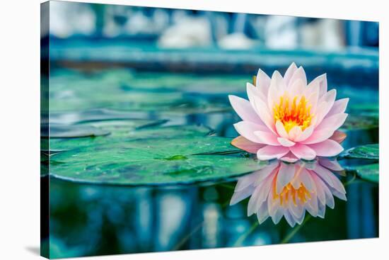 Beautiful Pink Lotus, Water Plant with Reflection in a Pond-Vasin Lee-Stretched Canvas