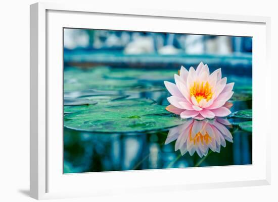 Beautiful Pink Lotus, Water Plant with Reflection in a Pond-Vasin Lee-Framed Photographic Print