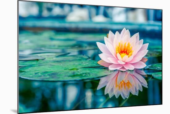 Beautiful Pink Lotus, Water Plant with Reflection in a Pond-Vasin Lee-Mounted Photographic Print