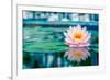 Beautiful Pink Lotus, Water Plant with Reflection in a Pond-Vasin Lee-Framed Photographic Print