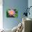 Beautiful Pink Water Lily Closeup-mazzzur-Stretched Canvas displayed on a wall