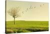 Beautiful Poetic Landscape with a Tree Isolated in a Meadow and Birds Flying at Sunset-Valentina Photos-Stretched Canvas