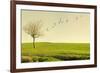 Beautiful Poetic Landscape with a Tree Isolated in a Meadow and Birds Flying at Sunset-Valentina Photos-Framed Photographic Print