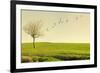 Beautiful Poetic Landscape with a Tree Isolated in a Meadow and Birds Flying at Sunset-Valentina Photos-Framed Photographic Print