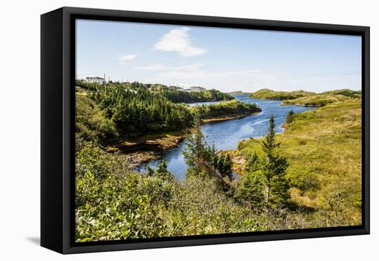 Beautiful Pond Near Port Aux Basques, Newfoundland, Canada, North America-Michael Runkel-Framed Stretched Canvas