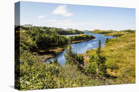 Beautiful Pond Near Port Aux Basques, Newfoundland, Canada, North America-Michael Runkel-Stretched Canvas