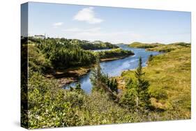 Beautiful Pond Near Port Aux Basques, Newfoundland, Canada, North America-Michael Runkel-Stretched Canvas