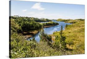 Beautiful Pond Near Port Aux Basques, Newfoundland, Canada, North America-Michael Runkel-Stretched Canvas