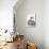 Beautiful Provence Cat-Oxana Zaika-Stretched Canvas displayed on a wall