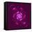 Beautiful Purple Flower on Purple Background-velirina-Framed Stretched Canvas
