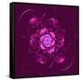 Beautiful Purple Flower on Purple Background-velirina-Framed Stretched Canvas