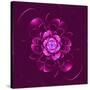 Beautiful Purple Flower on Purple Background-velirina-Stretched Canvas